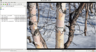 image viewer using GTK+