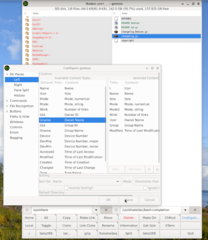fully GUI-configurable, two-pane X file manager