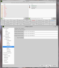 fully GUI-configurable, two-pane X file manager