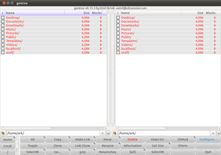 fully GUI-configurable, two-pane X file manager