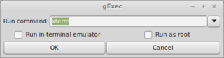 gexec about to run a bash shell console named "X term" , a terminal