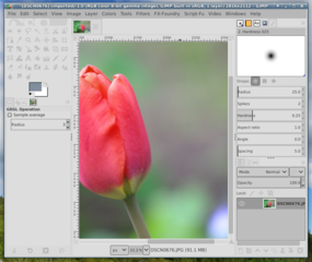 Gimp plugin to correct lens distortion using the lensfun library