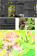 repository of optional extensions for GIMP