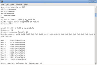 gapped protein motifs from unaligned sequences