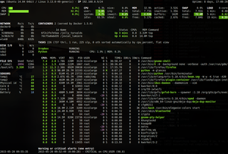 Curses-based monitoring tool