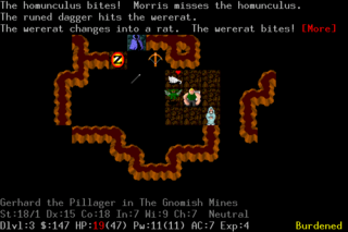 Fullscreen SDL/OpenGL version of NetHack