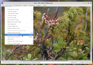image viewer using gdk-pixbuf and OpenGL