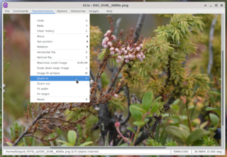 image viewer using gdk-pixbuf and OpenGL