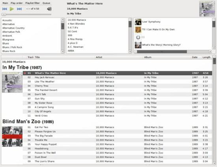 graphical jukebox for large music collections