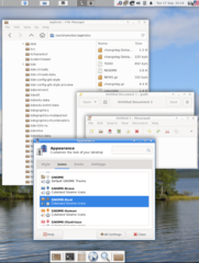 +XFCE
