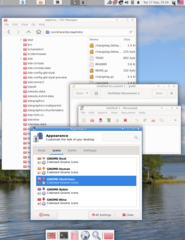 +XFCE