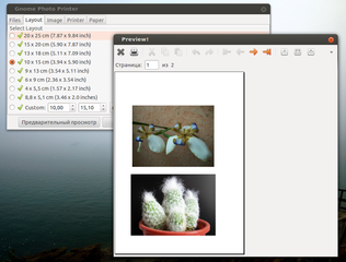 tool for Gnome to print several photos on one page