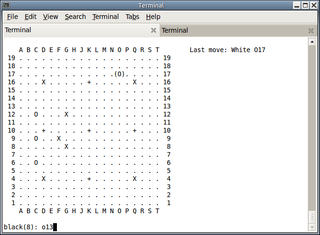 play the game of Go