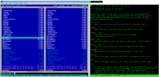 GNU Interactive Tools, a file browser/viewer and process viewer/killer