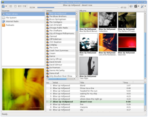 Goggles Music Player and Manager
