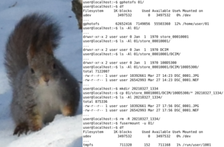 filesystem to mount digital cameras