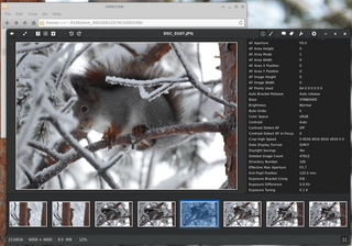 filesystem to mount digital cameras