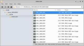 filesystem to mount digital cameras