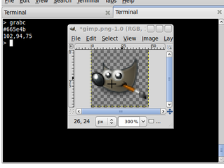 simple program to determine the color string in hex by clicking on a pixel