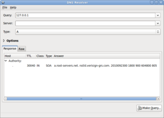 graphical tool for performing DNS queries