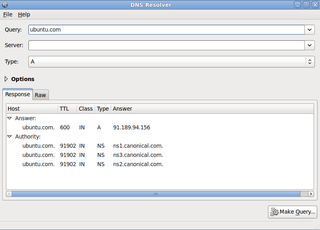 graphical tool for performing DNS queries