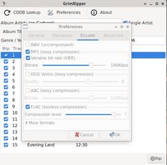 Graphical audio CD ripper and encoder