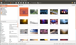 image viewer and browser