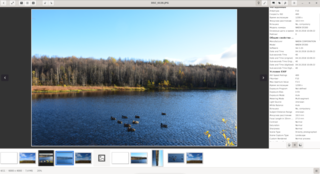 image viewer and browser