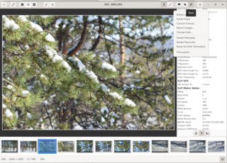image viewer and browser
