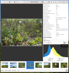 NEF-Histogram