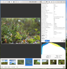 NEF-Histogram (RGB and others)