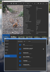 Preferences->Extensions