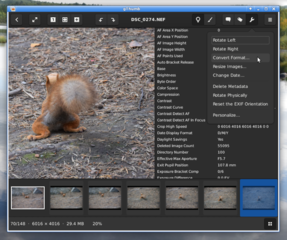 Tools->Convert Format (from neff-to...)