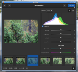 image viewer and browser