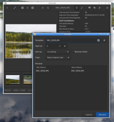 F2 - rename file