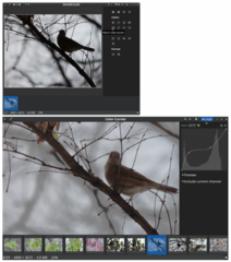 image viewer and browser