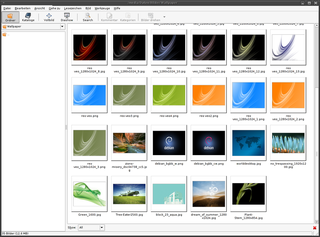 image viewer and browser