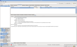 shares files in a peer to peer network