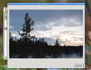 View with Built-in-viewer_2