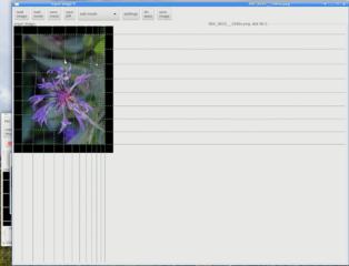 select "edit mesh"