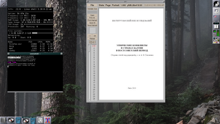 PostScript and PDF viewer for X