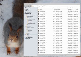 userspace virtual filesystem - backends