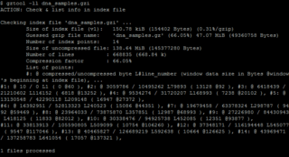 Showing detailed info about data stored in an index with `gztool -ll`