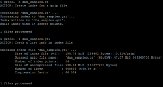 Creating an index with line numbering info (`-x`), then showing its info (`-l`)