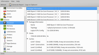 Processor Info on amd64