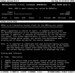 interactive ncurses client for haproxy