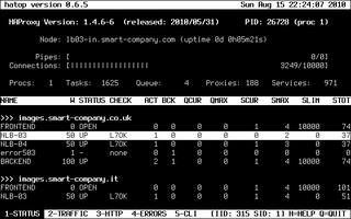 interactive ncurses client for haproxy