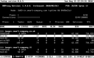 interactive ncurses client for haproxy