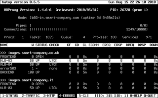 interactive ncurses client for haproxy