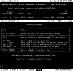 interactive ncurses client for haproxy